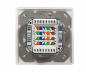 Preview: DINIC Cat.6/5 Netzwerkdose zweifach, RJ45