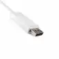 Preview: DINIC USB 3.2 Kabel Typ C St. auf DisplayPort St., 4K bei 60Hz, weiß, 2m