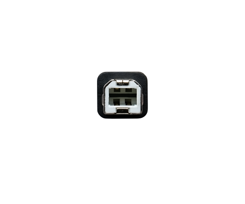 DINIC USB-C auf USB-B Druckerkabel, schwarz, (Printer/Scanner/MIDI) 2m
