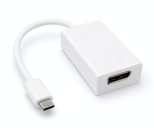 DINIC Adapter USB 3.2 Typ C Stecker/DisplayPort Buchse 4k bei 60Hz, weiß, DINIC Blister